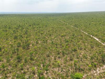 Fazenda para Venda, em Alto Parnaba, bairro 000