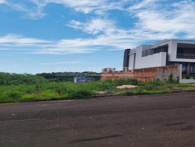 Terreno para Venda, em Pato Branco, bairro So Luiz