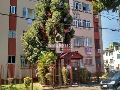 Apartamento para Venda, em Porto Alegre, bairro Parque dos Maias, 3 dormitrios, 1 banheiro