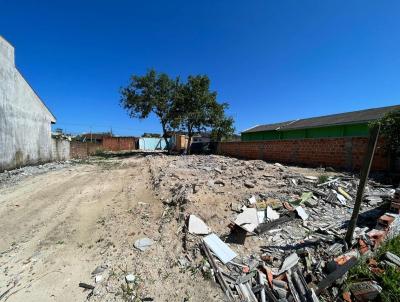 Terreno para Venda, em Pontal do Paran, bairro SHANGRI-LA