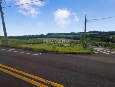 Terreno para Venda, em Pato Branco, bairro So Luiz