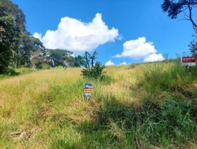 Terreno para Venda, em Atibaia, bairro Estrada da Mantiqueira