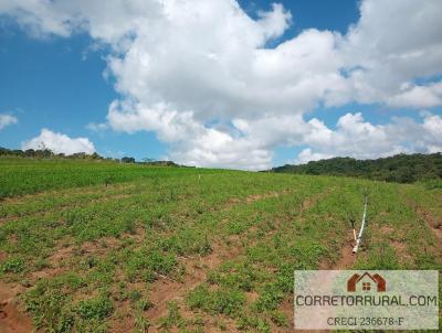 Terreno para Venda, em Piedade, bairro Ortizes