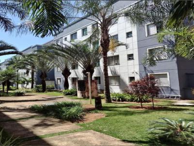 Apartamento para Venda, em Franca, bairro Vila Rezende, 2 dormitrios, 1 banheiro