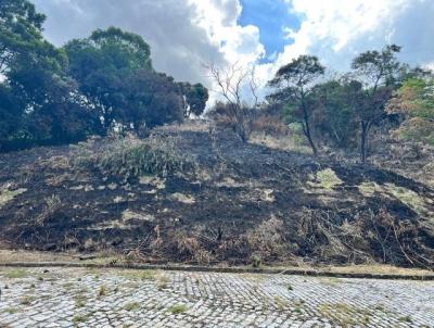 Terreno para Venda, em Rio de Janeiro, bairro Campo Grande