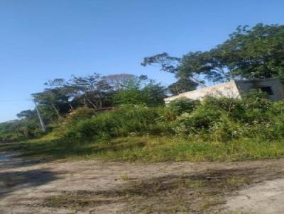 Terreno para Venda, em Itanham, bairro Jardim Anchieta