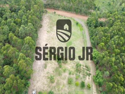 Stio / Chcara para Venda, em Paverama, bairro rea rural, 1 banheiro