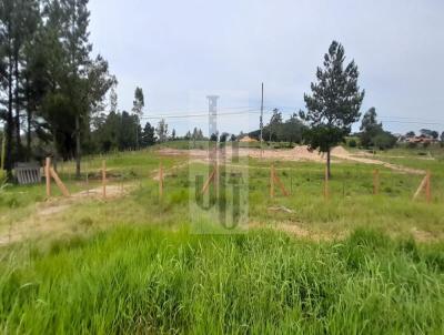Terreno Comercial para Venda, em Viamo, bairro Passo do Vigrio