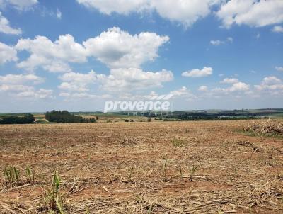 Fazenda para Venda, em Capivari, bairro Rodovia do Aucar