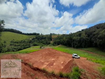 Terreno para Venda, em Pedra Bela, bairro Bairro dos preto