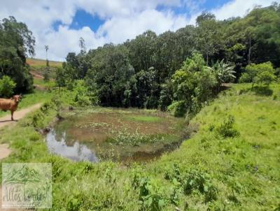 Terreno para Venda, em Pedra Bela, bairro Bairros dos preto