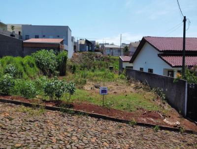 imagem-miniatura