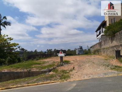 Terreno para Venda, em Timb, bairro Imigrantes