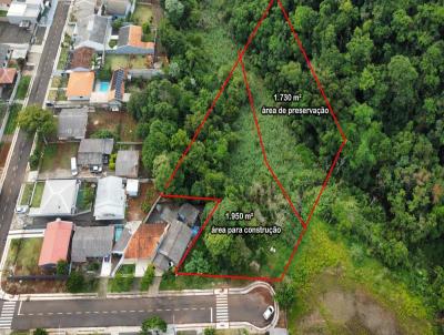 Terreno para Venda, em Laranjeiras do Sul, bairro So Francisco