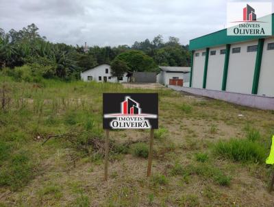 Terreno para Venda, em Timb, bairro Quintino