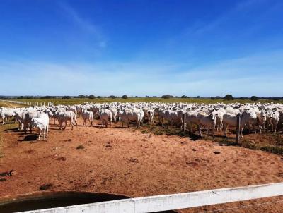 Fazenda para Venda, em Januria, bairro rural