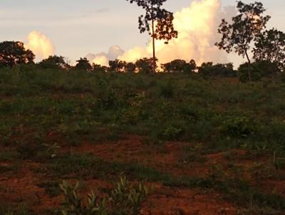 Fazenda para Venda, em Morro da Gara, bairro rural, 2 dormitrios, 1 banheiro