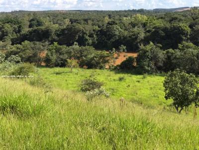 Chcara para Venda, em Martinho Campos, bairro rural