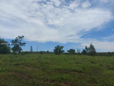 Fazenda para Venda, em Vrzea da Palma, bairro rural, 8 dormitrios, 2 banheiros, 3 sutes, 10 vagas