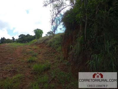 Terreno para Venda, em Piedade, bairro Ortizes