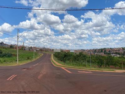 Terreno para Venda, em Cravinhos, bairro Bella Cravinhos I