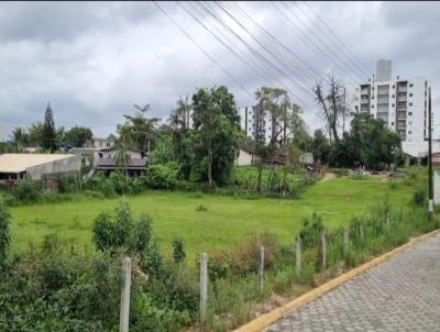 Terreno para Venda, em Cambori, bairro Cedro