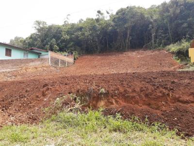 Terreno para Venda, em Dois Irmos, bairro Navegantes