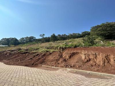 Terreno para Venda, em Morro Reuter, bairro -