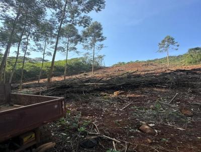Terreno para Venda, em Morro Reuter, bairro -