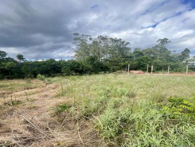Terreno para Venda, em Dois Irmos, bairro Industrial