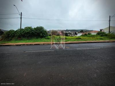 Terreno para Venda, em Jaguariava, bairro PRIMAVERA ||