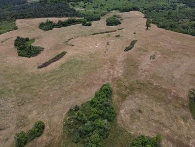 rea Rural para Venda, em Santana da Boa Vista, bairro Rodeio Velho