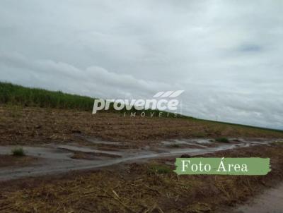 Fazenda para Venda, em Capivari, bairro Centro