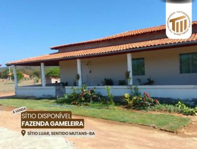 Stio para Venda, em Guanambi, bairro Zona Rural, 3 dormitrios, 1 banheiro