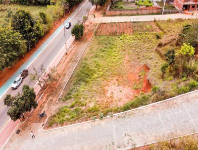 Lote para Venda, em Itanhomi, bairro Bairro Jardim Amria