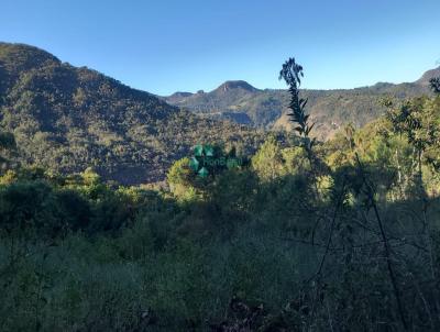 Terreno para Venda, em Morro do Pilar, bairro Centro