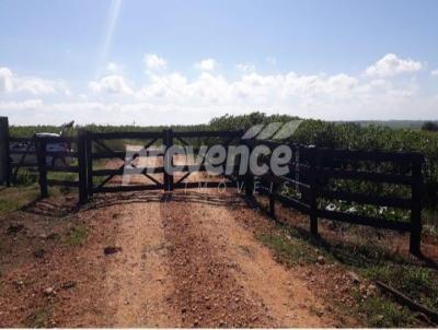 Fazenda para Venda, em Anhembi, bairro rea Rural de Anhembi