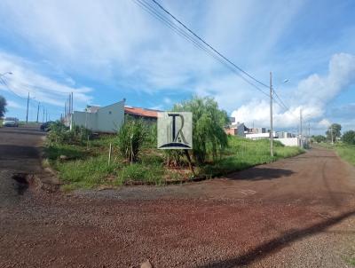 Terreno para Venda, em Apucarana, bairro Residencial Joaquim Vicente de Castro