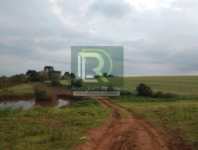 Fazenda para Venda, em Caapava do Sul, bairro Rural