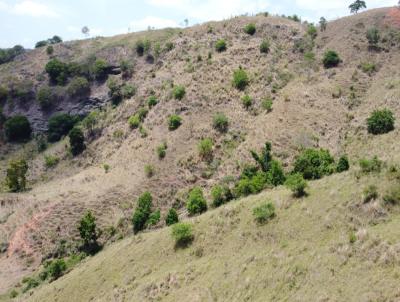 Fazenda para Venda, em Itanhomi, bairro Zona Rural