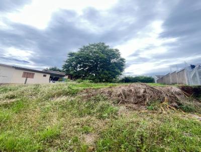 Terreno para Venda, em Dois Irmos, bairro Vale Esquerdo