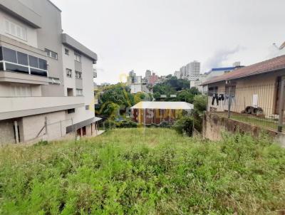 Terreno para Venda, em Bento Gonalves, bairro BORGO