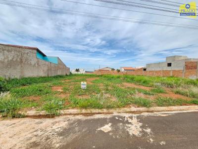 Terreno para Venda, em Araguari, bairro Jardim Botnico