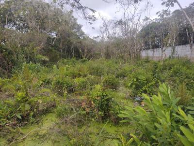 Terreno para Venda, em Itanham, bairro Luizamar Mirim