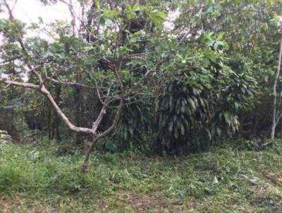 Terreno para Venda, em Itanham, bairro So Fernando