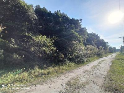 Terreno para Venda, em Itanham, bairro So Fernando