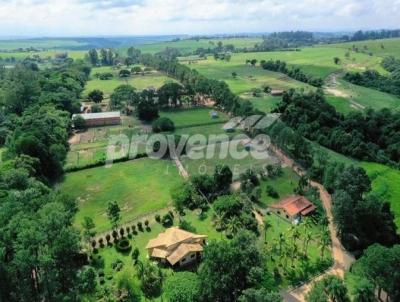 Haras para Venda, em Porto Feliz, bairro Centro