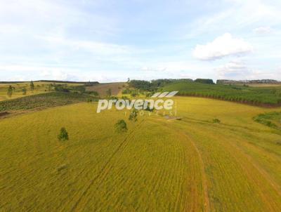 Fazenda para Venda, em Itirapina, bairro Centro