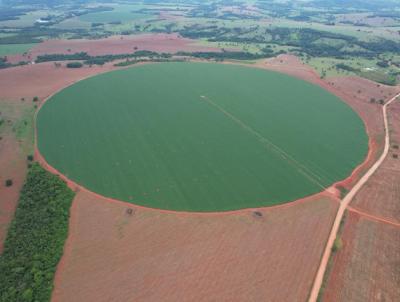 Fazenda para Venda, em Morrinhos, bairro Zona Rural