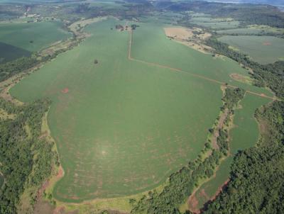 Fazenda para Venda, em Rio Verde, bairro Zona Rural